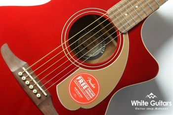 Newporter Player - CAR